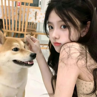 木材宝藏狗
